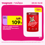 Magnum 1620x1620 1 tov 2025 10 08T102355.661