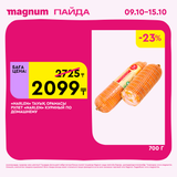 Magnum 1620x1620 1 tov 2025 10 08T102422.308