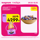 Magnum 1620x1620 1 tov 2025 10 08T102341.686