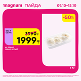 Magnum 1620x1620 1 tov 2025 10 08T102343.688