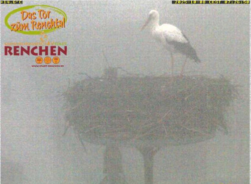 MWSnap861.jpg