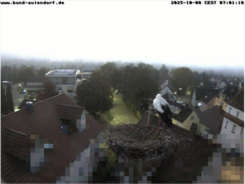 MWSnap847.jpg