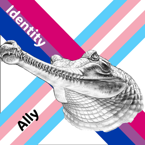 Mr gay gharial.png
