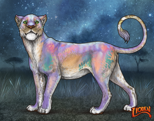 lioden wardrobe 2025 10 08T133939.788.png