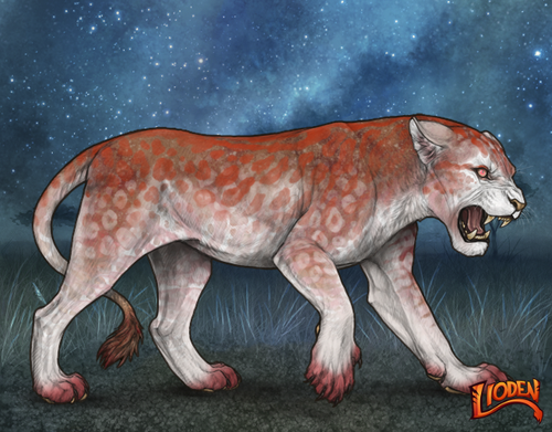 lioden wardrobe 2025 10 08T133828.638.png