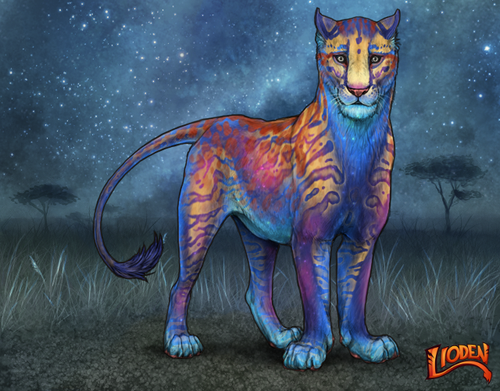 lioden wardrobe 2025 10 08T133731.009.png