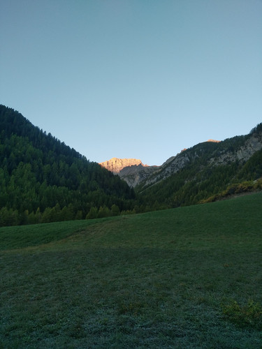 IMG 20251008 074614.jpg