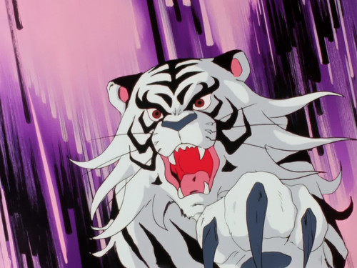 frame2.jpg