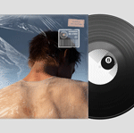 Free Vinyl Mockup 5.gif