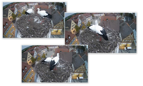 Bilder2.jpg