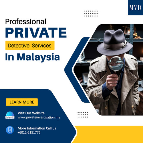 Professional Private Detective Services in Malaysia.jpg