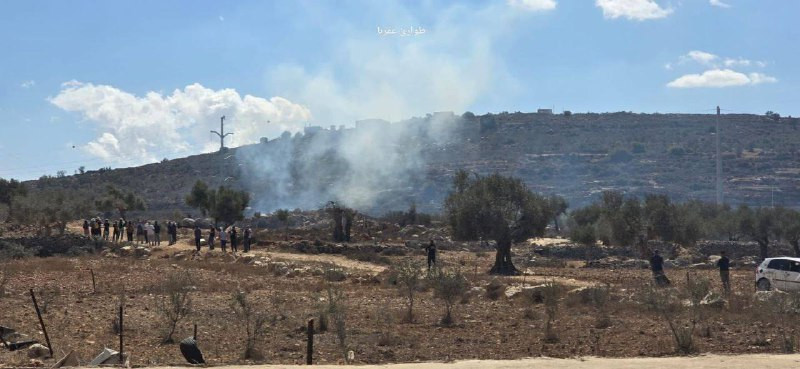 اندلاع مواجهات بين الشبان والمزارعين ضد قوات الاحتلال ومليشيات المستوطنين في بلدة عقربا جنوب شرق نابلس....