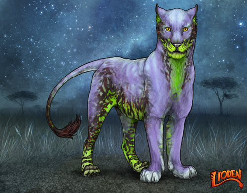 lioden wardrobe 2025 10 08T135254.744.png