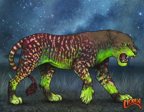 lioden wardrobe 2025 10 08T134337.909.png