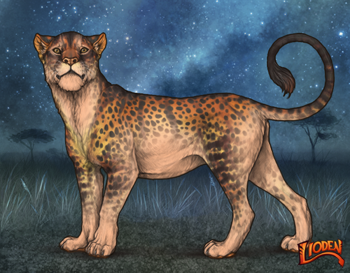 lioden wardrobe 2025 10 08T134931.731.png