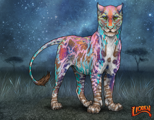 lioden wardrobe 2025 10 08T134441.702.png