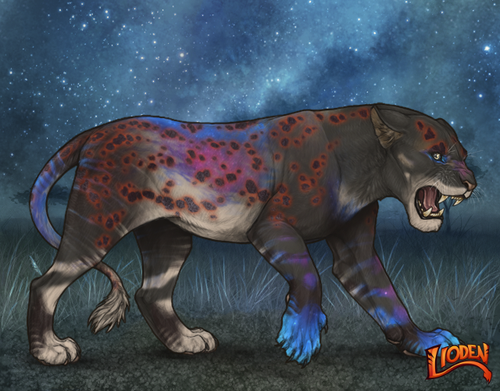 lioden wardrobe 2025 10 08T135533.648.png