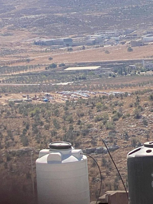 صورة تظهر تواجدًا كثيفًا لقطعان المستوطنين في سهل رامين شرق طولكرم...