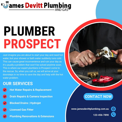 Plumber Prospect.jpg