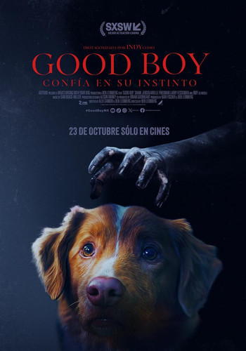 good boy 825800076 large.jpg