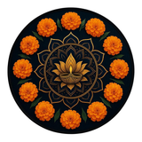 WhatsApp Image 2025 10 03 at 12.04.55 PM Photoroom