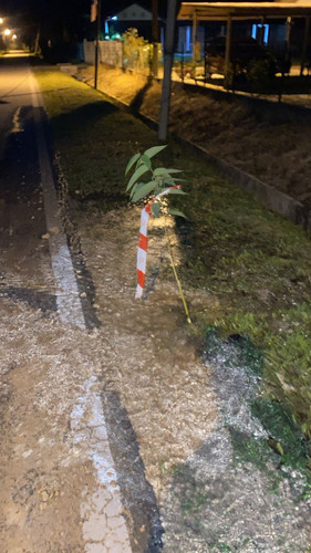 WhatsApp Image 2025 10 08 at 23.57.49