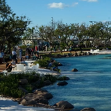 video capture t0000.00seg 6992