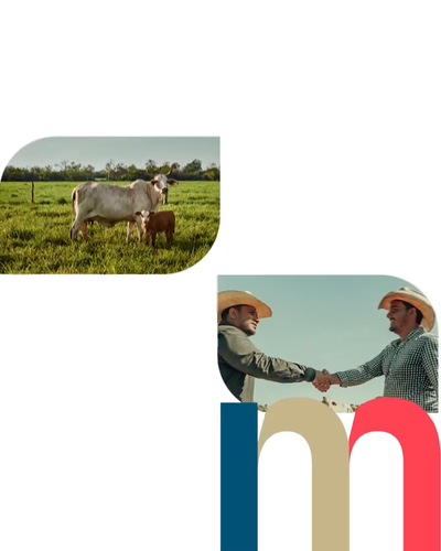 video capture t0002.10seg 9431.png