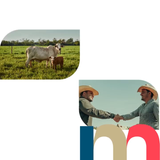 video capture t0002.10seg 9431