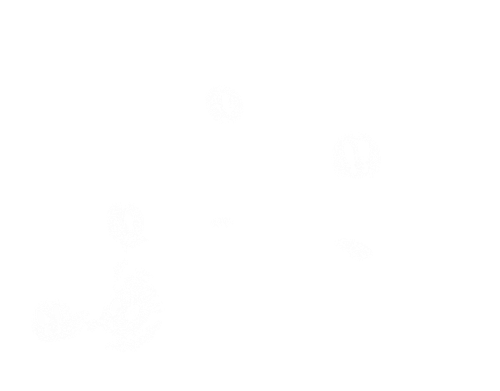 2025 10 04 154816motherly2.png