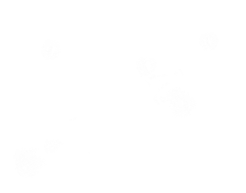 2025 10 04 154857relaxed2.png