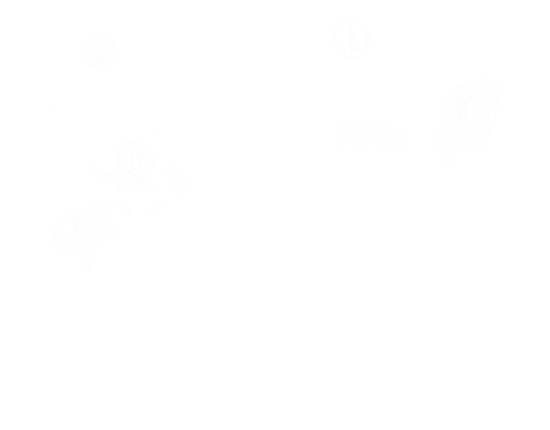 2025 10 04 154835sentinel2.png