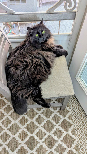 PXL 20250424 160521899.MP2.jpg