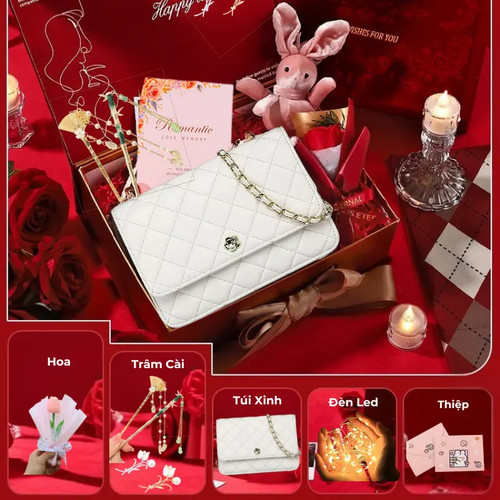 Product Introduction of Quà Tặng 20 10 Hộp Quà Túi Xách Nữ IV LUNA Yêu Chiều Sang Trọng Tặng Người C.jpg
