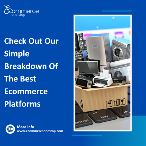 Picking the Right Ecommerce Platform for Your Startup (2).png