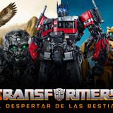 iCBbVU4Lzd3p74vFKEit76Dy5Je