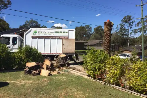 Stump Grinding Penrith.webp