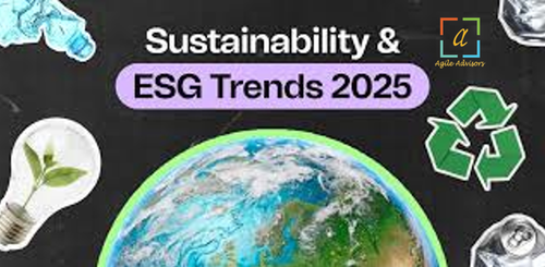 Sustainability in 2025 Trends Every Business Should Watch.png
