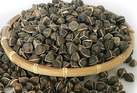 100 lxi 61 drumstick seeds sahja.jpg