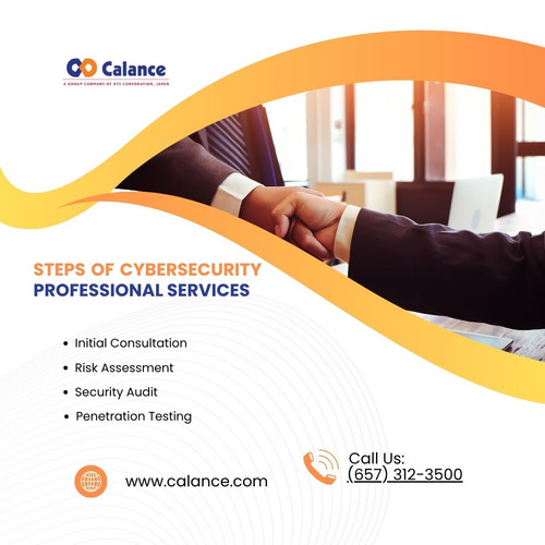 Steps of cybersecurity professional services  (1).jpg