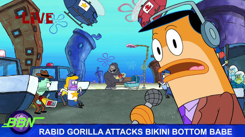 frame1.jpg