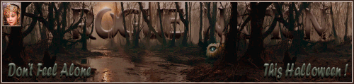 Blink Banner.gif
