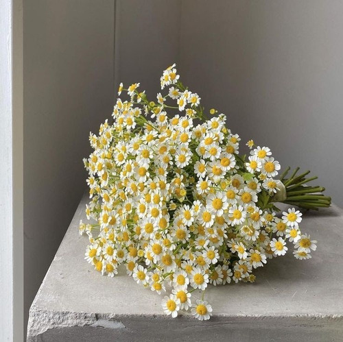 big flowers.jpg