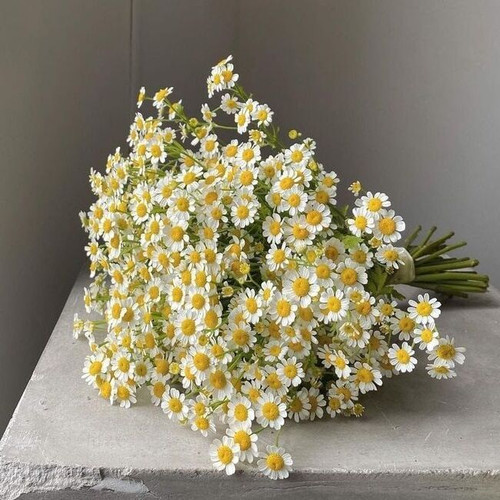 big flowers.jpg