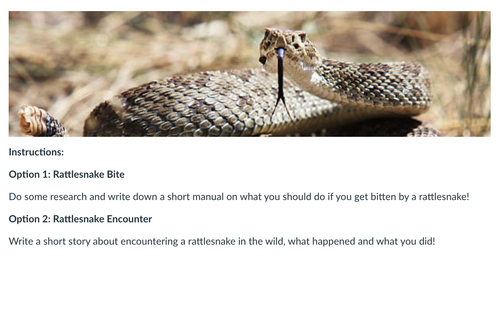 Screenshot 2025 10 02 at 6.54.45 AM.png