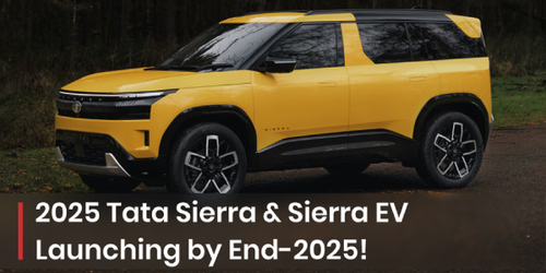 New Project (75).png