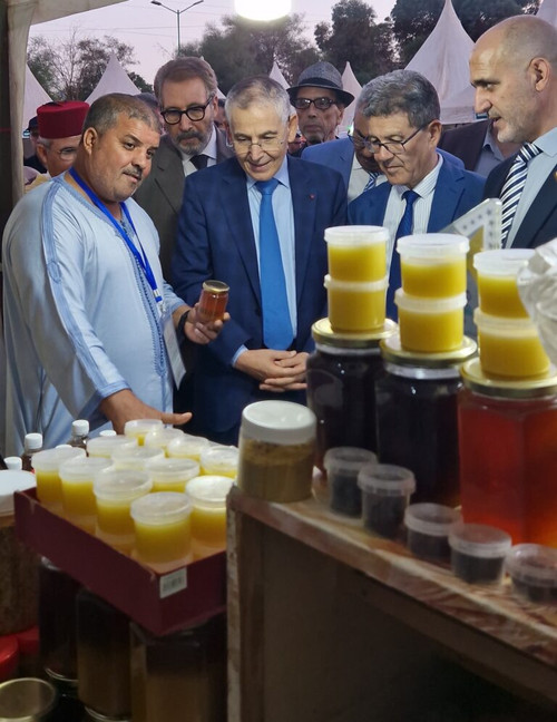 KkkLkIS.md.jpg