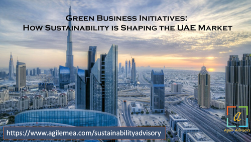 Is Your Business Ready for Sustainability in Dubai.png