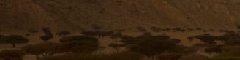 New Project 2025 10 15T202432.135.png