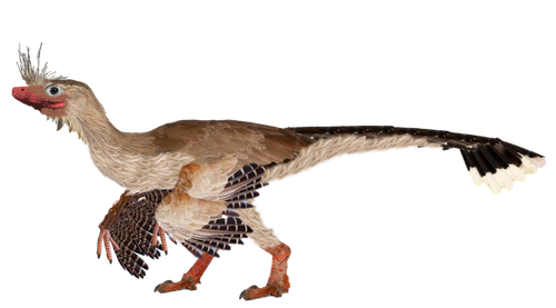 Eoraptor.png